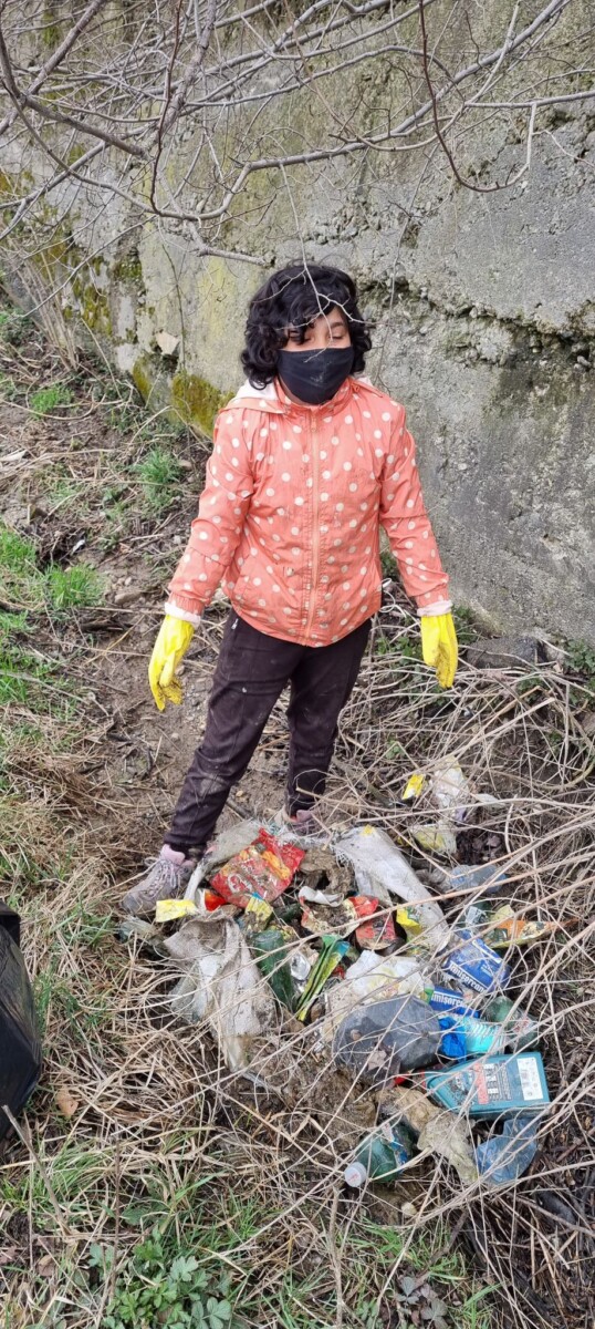 ecologizare cetan cluj