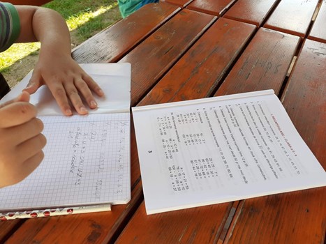 Tabara Matematica si Jocuri Logice 1