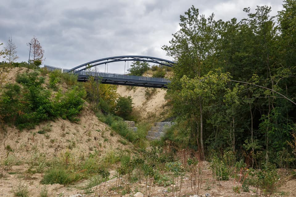 parc padurea clujenilor
