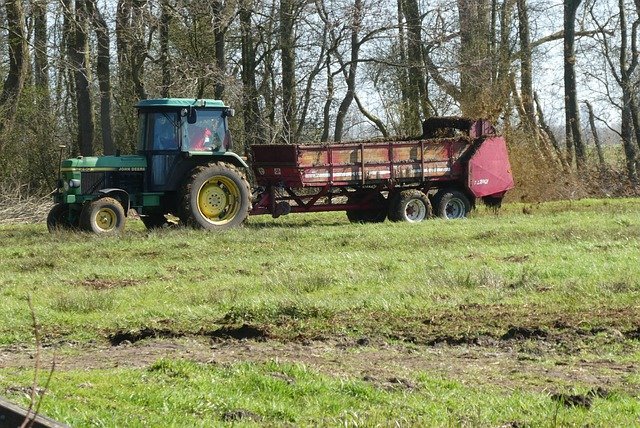 Ce beneficii aduc îngrășămintele plantelor și solului