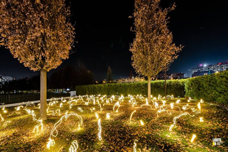 Firefly field - instalaţia luminoasă inedită din Parcul Iulius din Cluj-Napoca 5 Firefly field - instalaţia luminoasă inedită din Parcul Iulius din Cluj-Napoca