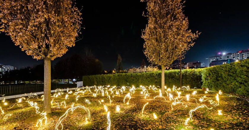 Firefly field - instalaţia luminoasă inedită din Parcul Iulius din Cluj-Napoca
