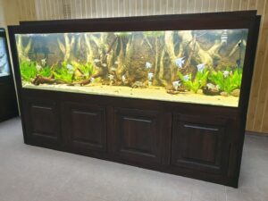 Investiţii de peste 25.000 de euro la Complexul Acvaristic al Facultăţii de Zootehnie şi Biotehnologii Cluj