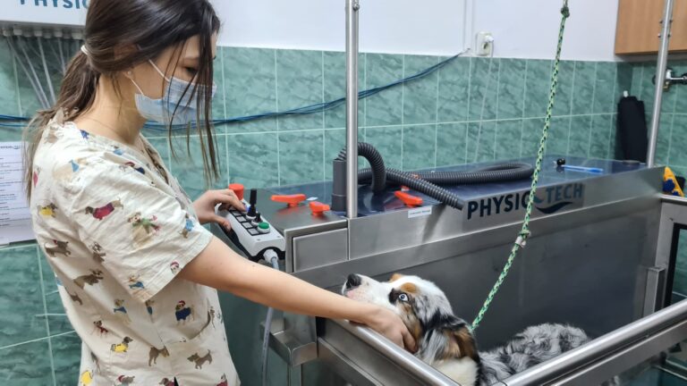 Investiţie importantă la USAMV Cluj: bazin de hidroterapie pentru afecțiunile animalelor