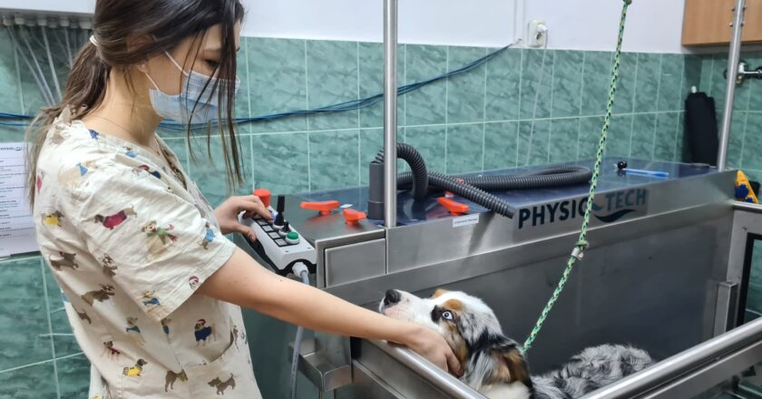 Investiţie importantă la USAMV Cluj: bazin de hidroterapie pentru afecțiunile animalelor