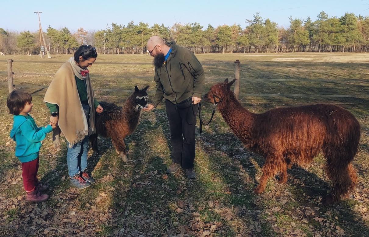 terapie alpaca cluj