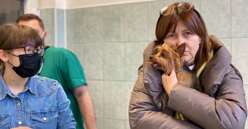Animalele refugiaţilor din Ucraina au primit îngrijiri medicale la USAMV Cluj