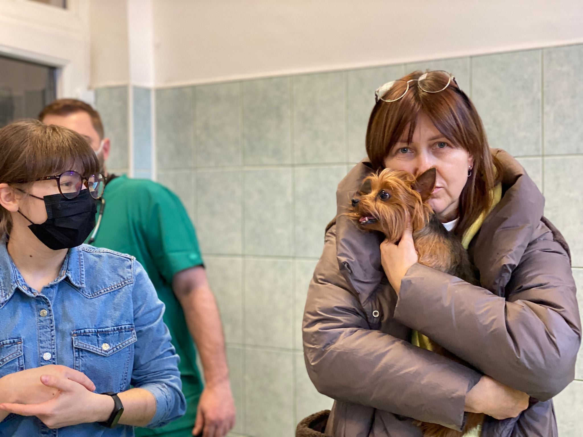 Animalele refugiaţilor din Ucraina au primit îngrijiri medicale la USAMV Cluj 9 Animalele refugiaţilor din Ucraina au primit îngrijiri medicale la USAMV Cluj