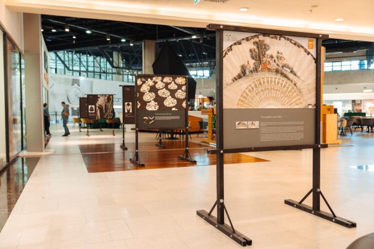 O istorie a modei din Transilvania - expoziţie inedită la Iulius Mall
