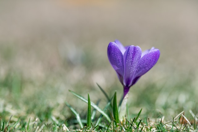 Top 7 idei de afaceri pentru tineri