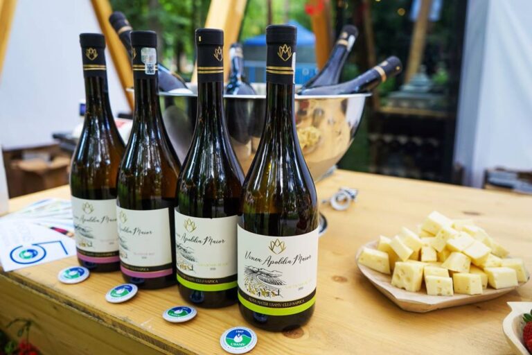 O universitate din Cluj îşi lansează propriile vinuri la Central Park Wine Festival