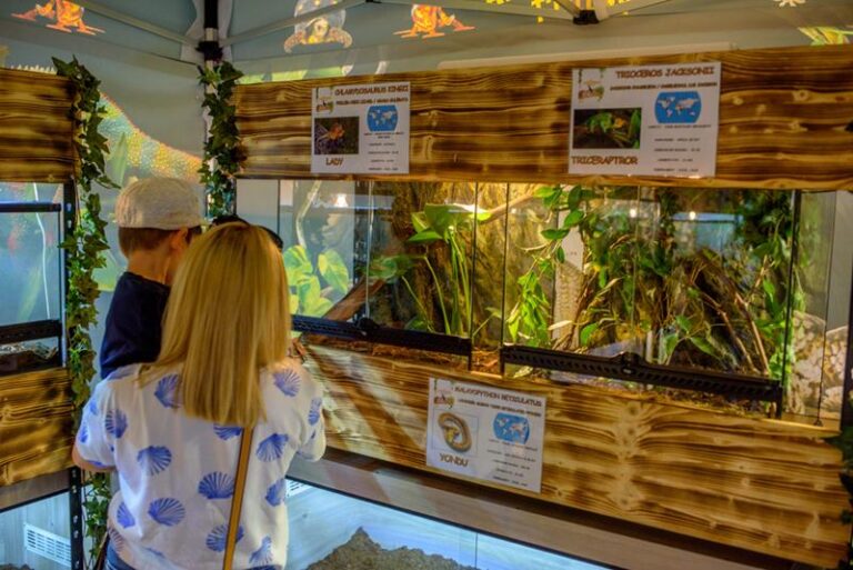 expozitie reptile cluj