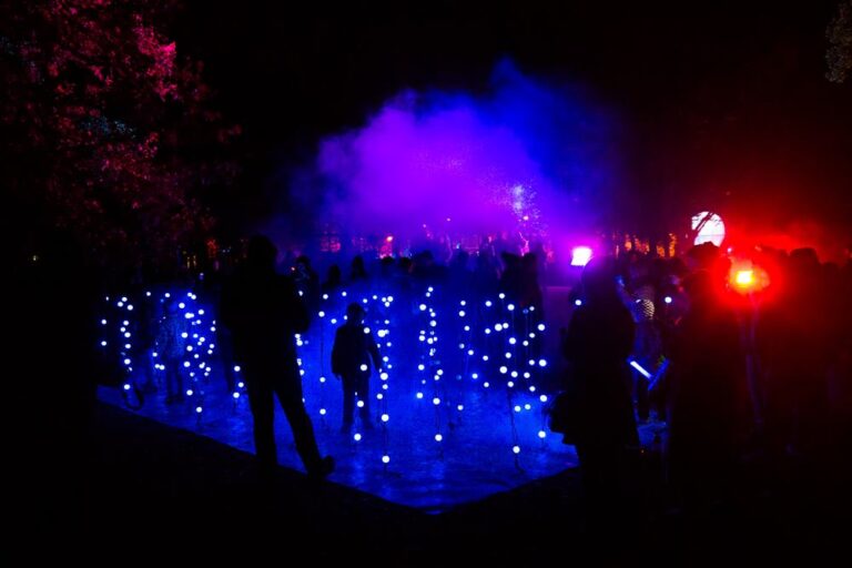 1.600 de „fluturi” vor lumina parcul Iulius din Cluj