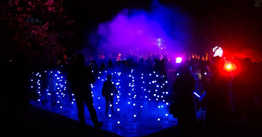 1.600 de „fluturi” vor lumina parcul Iulius din Cluj
