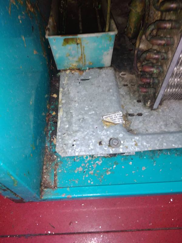 amenzi restaurante cluj protectia consumatorului