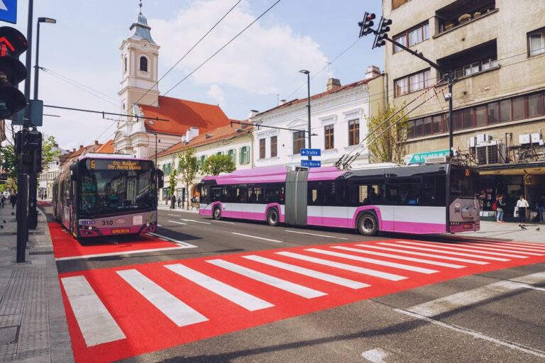 Vinerea Verde Cluj 2023