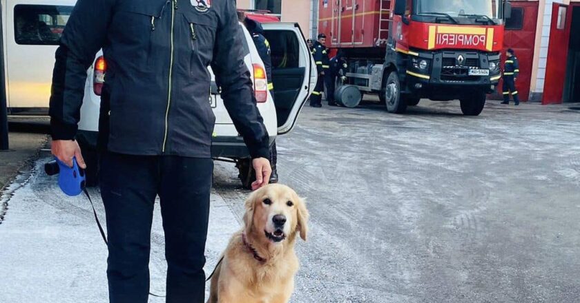 Un pompier din Cluj şi câinele lui au plecat în Turcia pentru a participa la misiuni de căutare-salvare