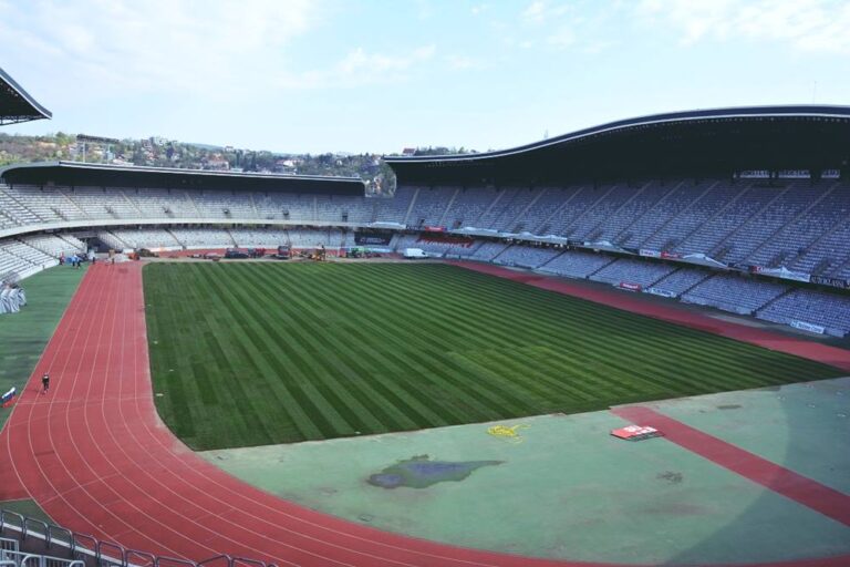 A fost montat gazonul care schimbă totul pe Cluj Arena: calitate și rezistență din Bundesliga