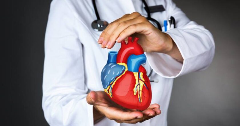4 investigații recomandate pentru boli de inimă