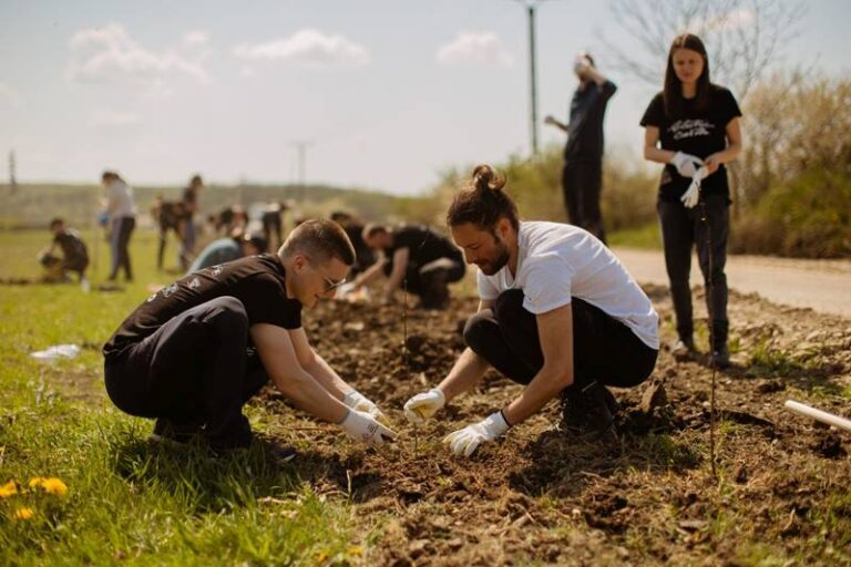 Camping-ul Electric Castle devine mai verde: 2000 de copaci plantați pentru confortul festivalierilor
