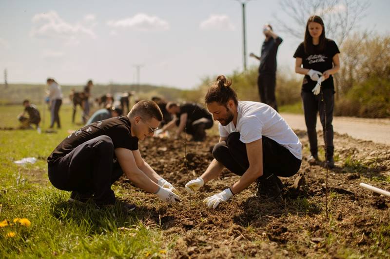 Camping-ul Electric Castle devine mai verde: 2000 de copaci plantați pentru confortul festivalierilor