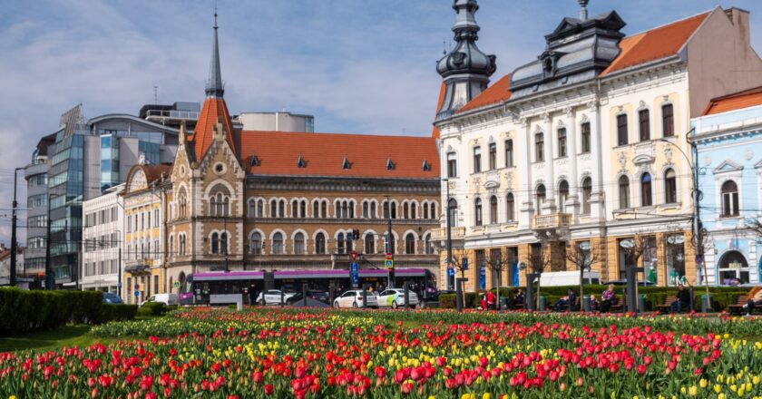 Spectacol de culori în Cluj-Napoca: Orașul s-a transformat după o investiție de peste 500.000 de lei în lalele