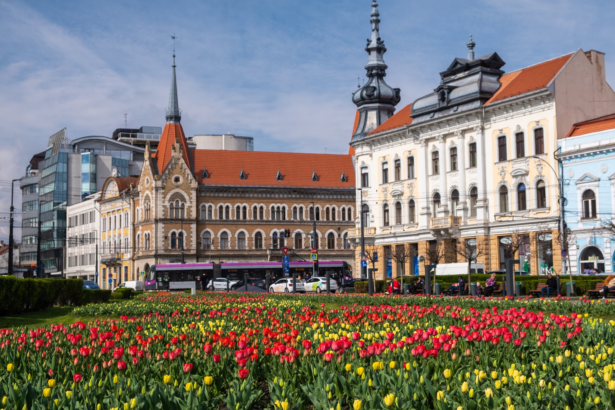 Spectacol de culori în Cluj-Napoca: Orașul s-a transformat după o investiție de peste 500.000 de lei în lalele