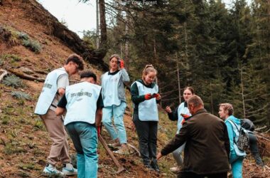 Reîmpădurire la Mărișel: O inițiativă eco-pozitivă prin proiectul „Build your forest”
