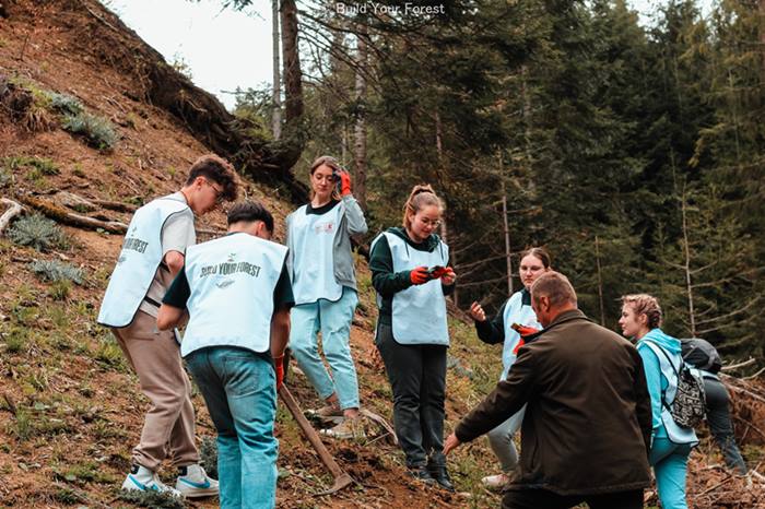 Reîmpădurire la Mărișel: O inițiativă eco-pozitivă prin proiectul „Build your forest”