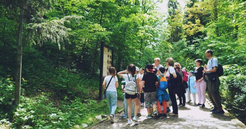 Ziua Copilului: Intrare gratuită pentru copii la Grădina Botanică din Cluj-Napoca