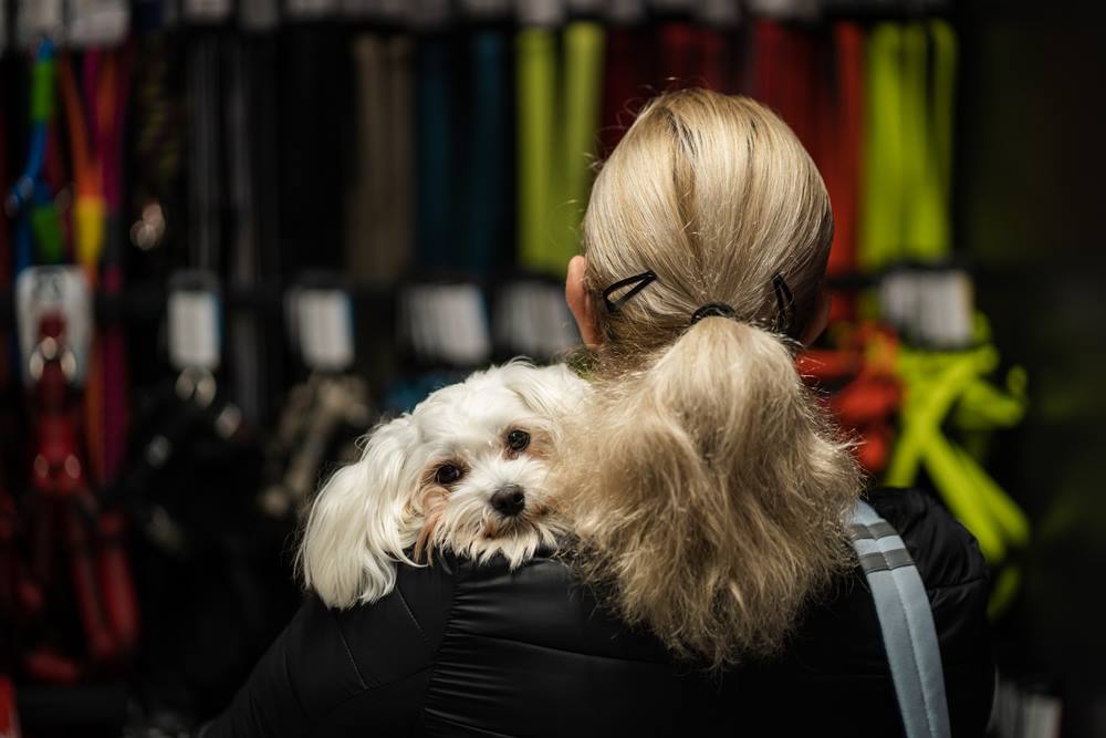 animalut maxi pet