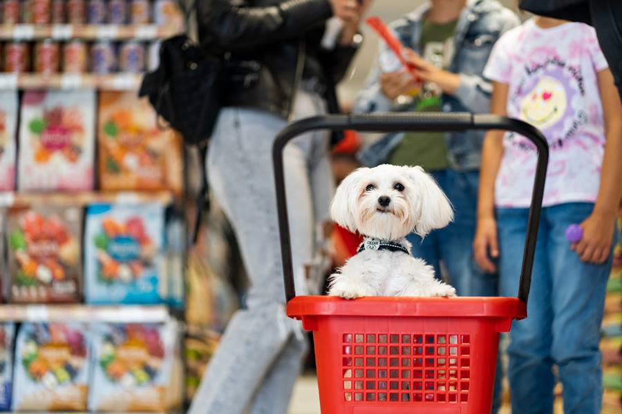 Maxi Pet Cluj