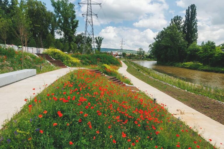 Parcul Armătura din Cluj-Napoca: O nouă oază verde pentru locuitori