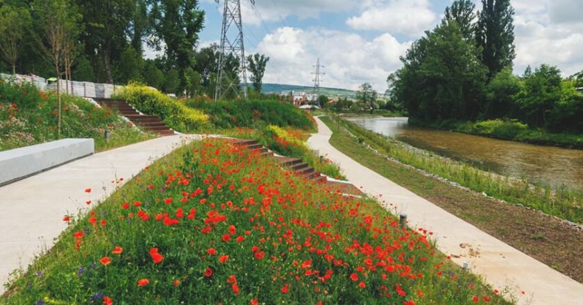 Parcul Armătura din Cluj-Napoca: O nouă oază verde pentru locuitori