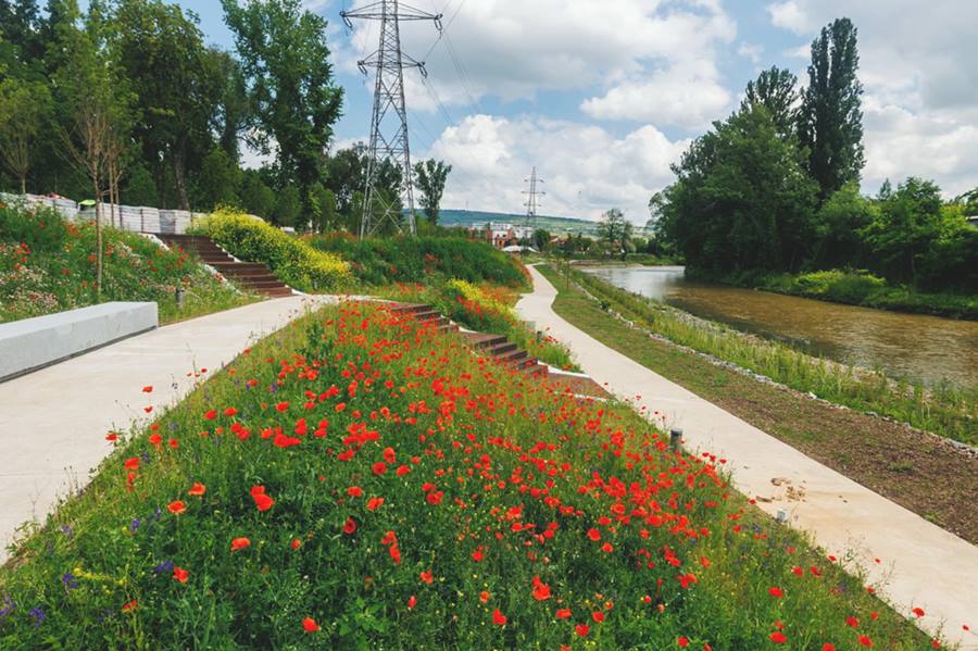 Parcul Armătura din Cluj-Napoca: O nouă oază verde pentru locuitori