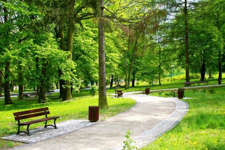 Idei pentru amenajarea unui parc