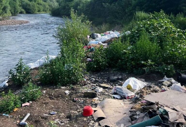 Luptă pentru sănătatea râului Someș: Peste 1100 de tone de deșeuri ridicate de autorități 1 ecologizare somes floresti