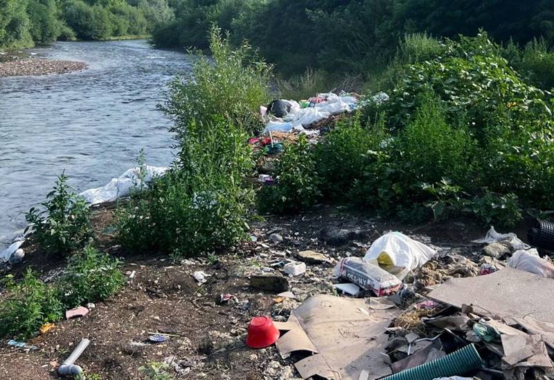 ecologizare somes floresti