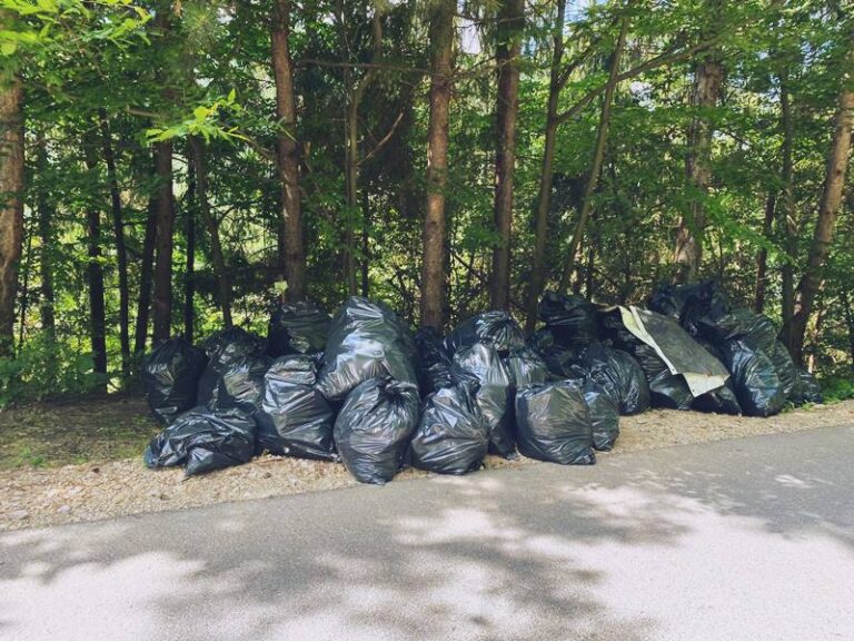 Efort impresionant al voluntarilor: 2600 de saci cu gunoaie au fost strânşi într-o acţiune de ecologizare la Lacul Tarnița 5 Efort impresionant al voluntarilor: 2600 de saci cu gunoaie au fost strânşi într-o acţiune de ecologizare la Lacul Tarnița