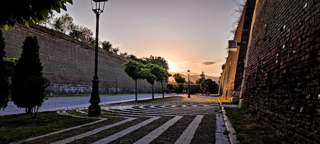 producatori locali alba