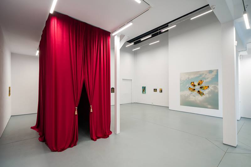 expozitie catalina milea