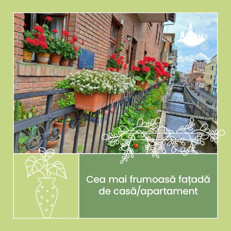 clujul cu flori 2023