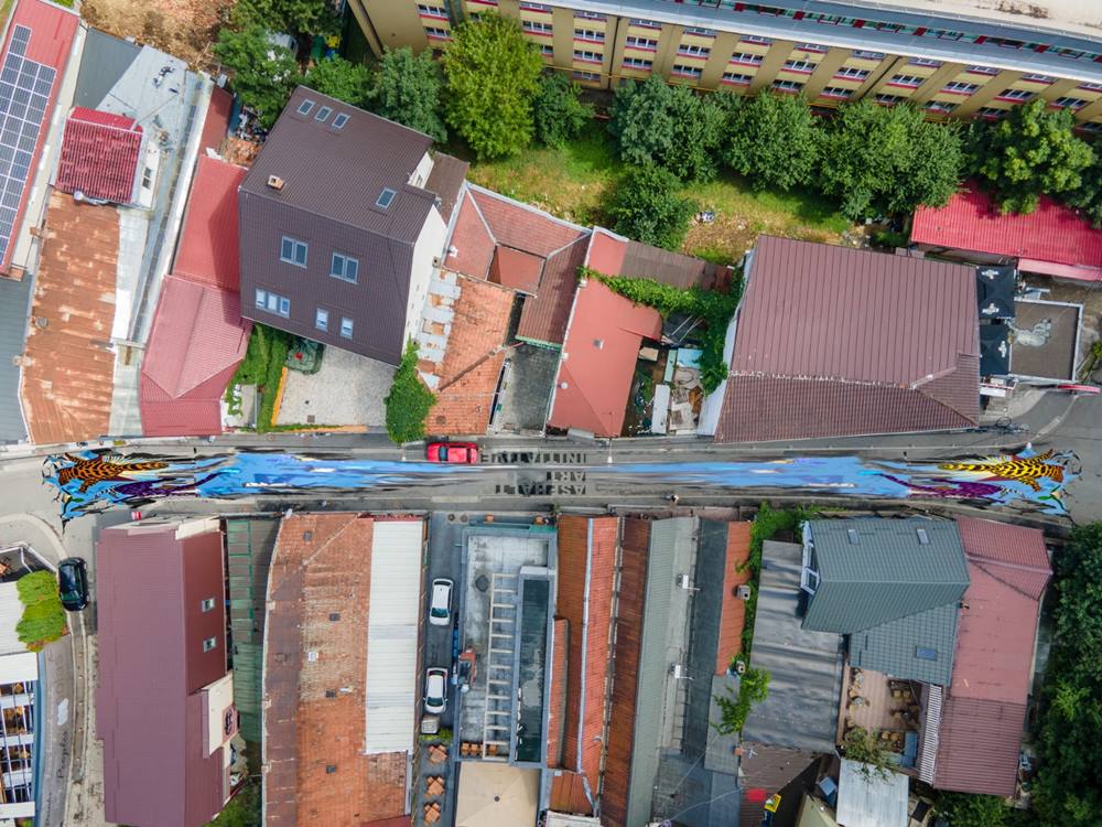 pictura strada piezisa