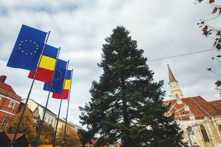 A sosit bradul de Crăciun în centrul Clujului