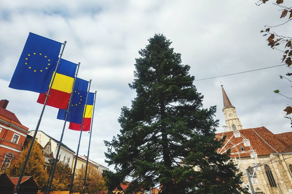 A sosit bradul de Crăciun în centrul Clujului