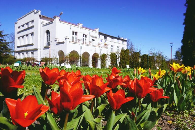 Grădina Botanică din Cluj-Napoca