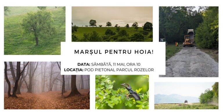 Pădurea Hoia