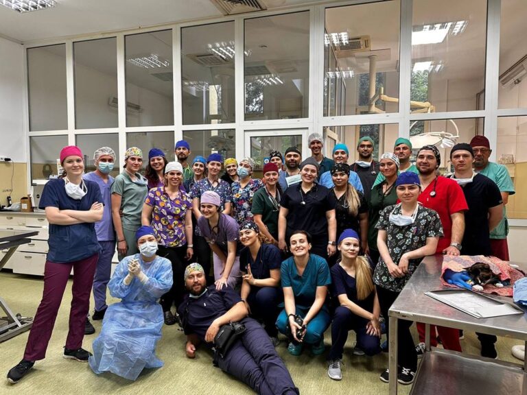 Spay Day