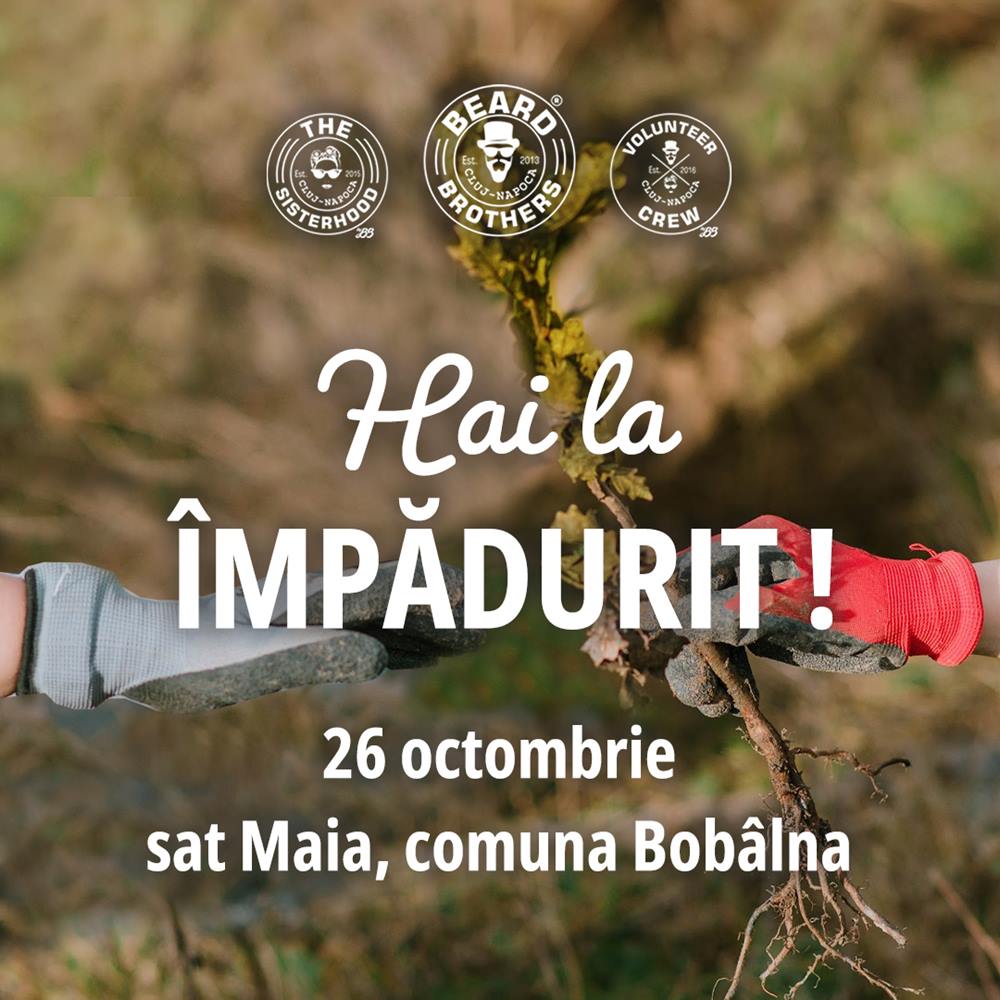 mpădurire în satul Maia