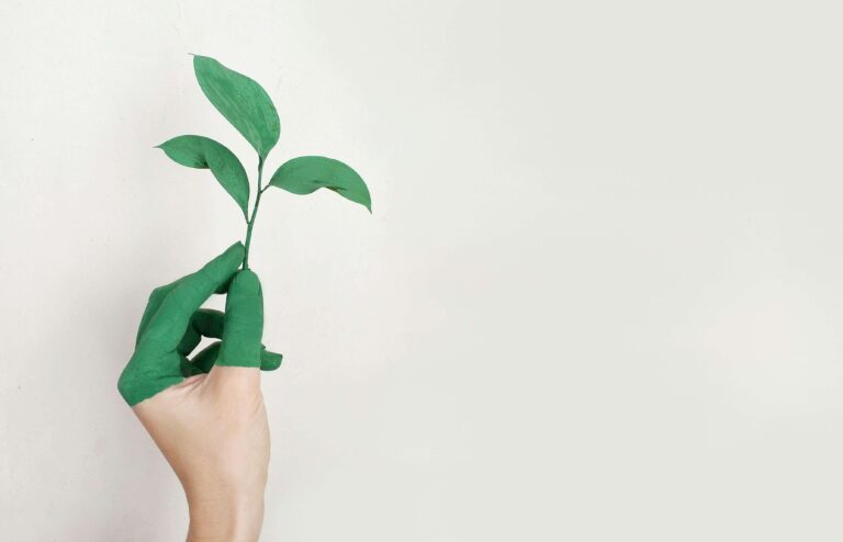 Viitorul sustenabil al afacerilor ESG si drumul spre o economie verde
